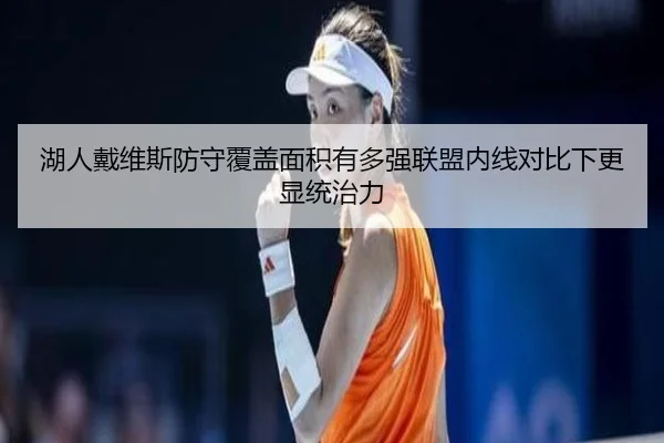 湖人戴维斯防守覆盖面积有多强联盟内线对比下更显统治力